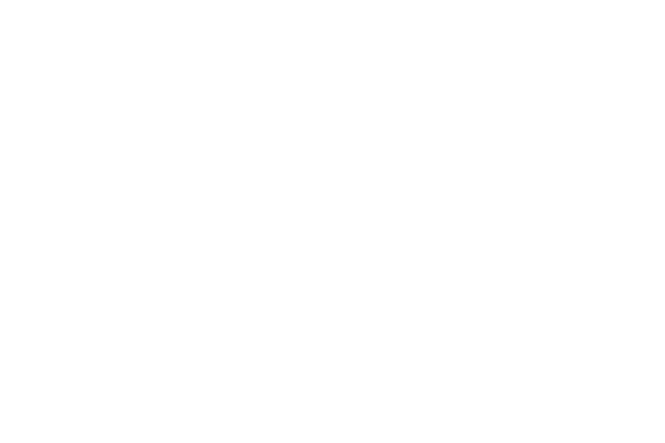 logo-integracion-bootic-bsale-2.png