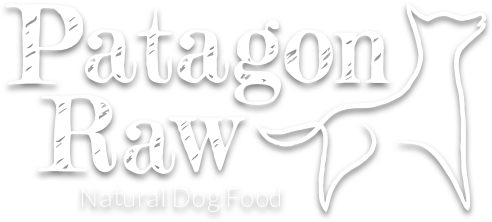 Patagon Raw Logo