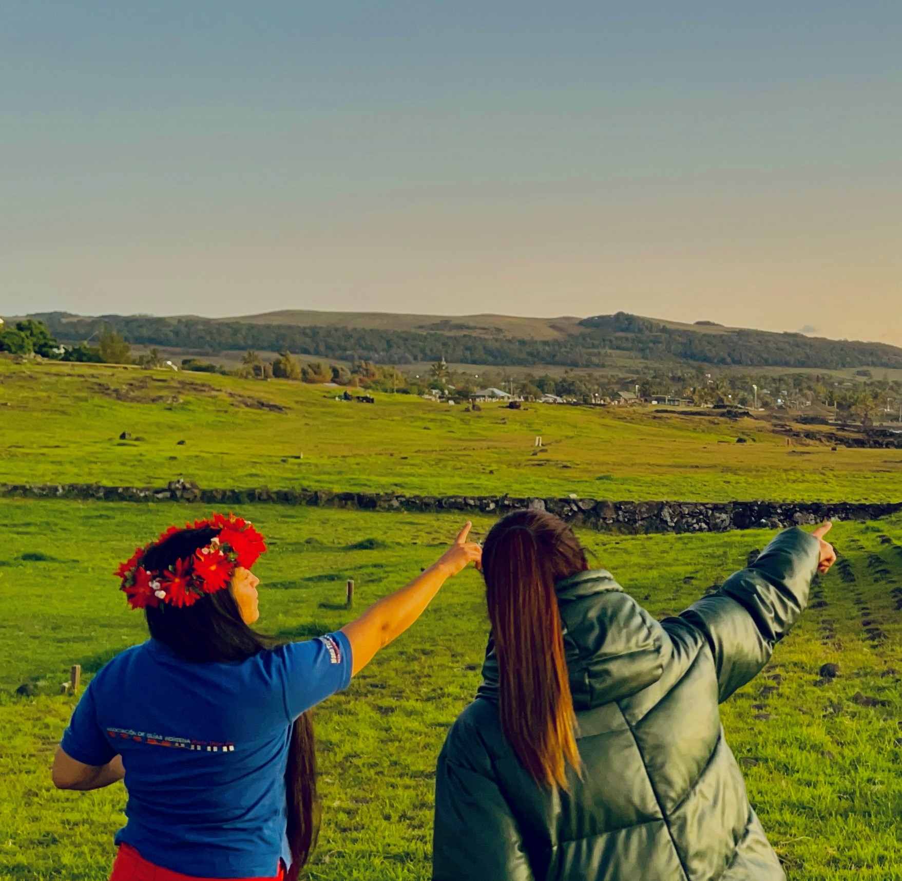 banner-post